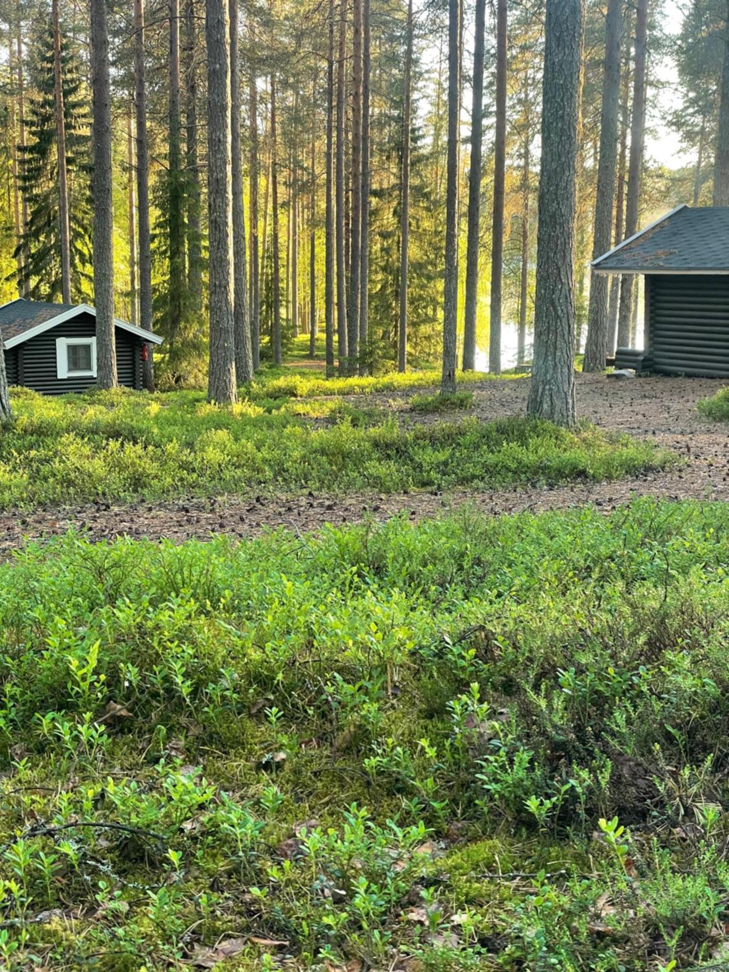 Laahtanen camping Ristijarvi Bagian luar foto